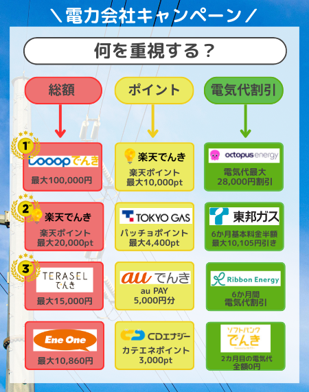 キャンペーン-フローチャート