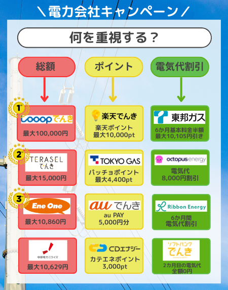 電力会社キャンペーン　フローチャート