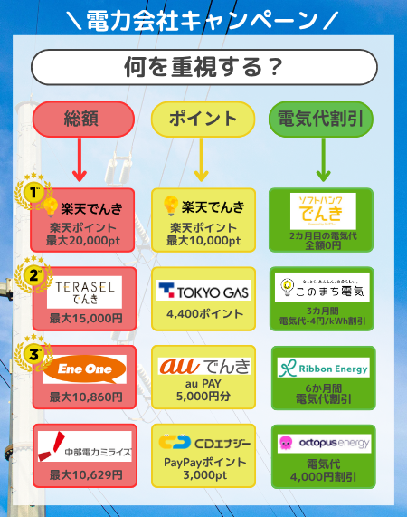 キャンペーン-フローチャート