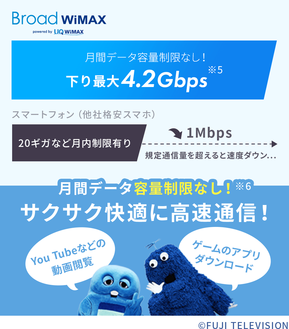BroadWiMAX 速度