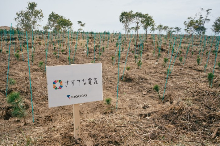 さすてな電気植林）｜東京ガス